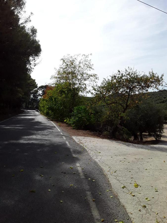 Hacienda La Buena Vida B&B En Appartementen Casita Almendas La Carrera de la Viña Εξωτερικό φωτογραφία