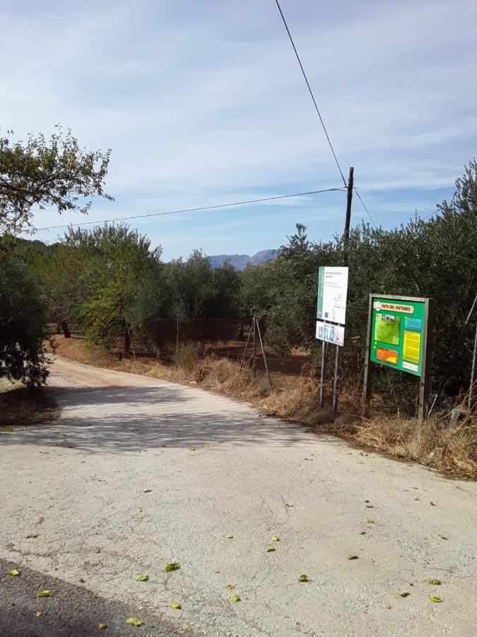 Hacienda La Buena Vida B&B En Appartementen Casita Almendas La Carrera de la Viña Εξωτερικό φωτογραφία