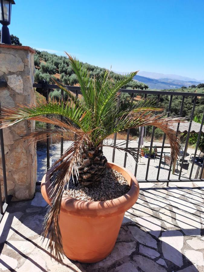 Hacienda La Buena Vida B&B En Appartementen Casita Almendas La Carrera de la Viña Εξωτερικό φωτογραφία