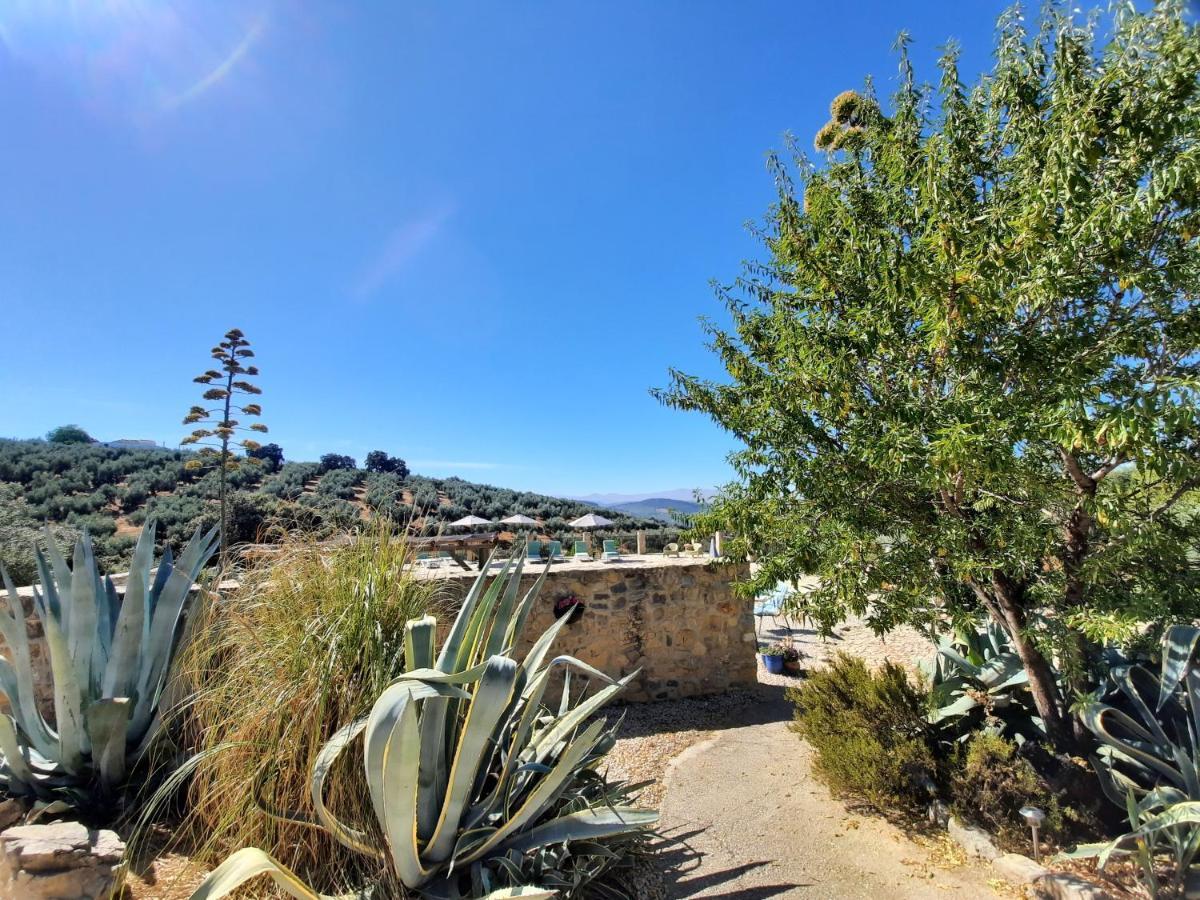 Hacienda La Buena Vida B&B En Appartementen Casita Almendas La Carrera de la Viña Εξωτερικό φωτογραφία