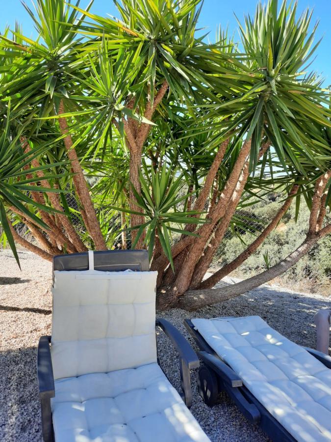 Hacienda La Buena Vida B&B En Appartementen Casita Almendas La Carrera de la Viña Εξωτερικό φωτογραφία