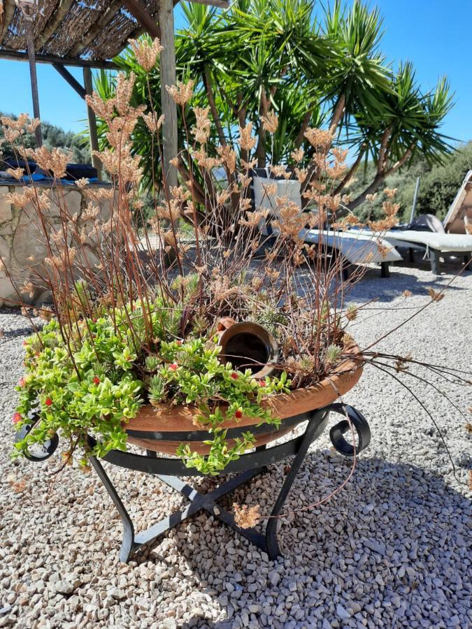 Hacienda La Buena Vida B&B En Appartementen Casita Almendas La Carrera de la Viña Εξωτερικό φωτογραφία