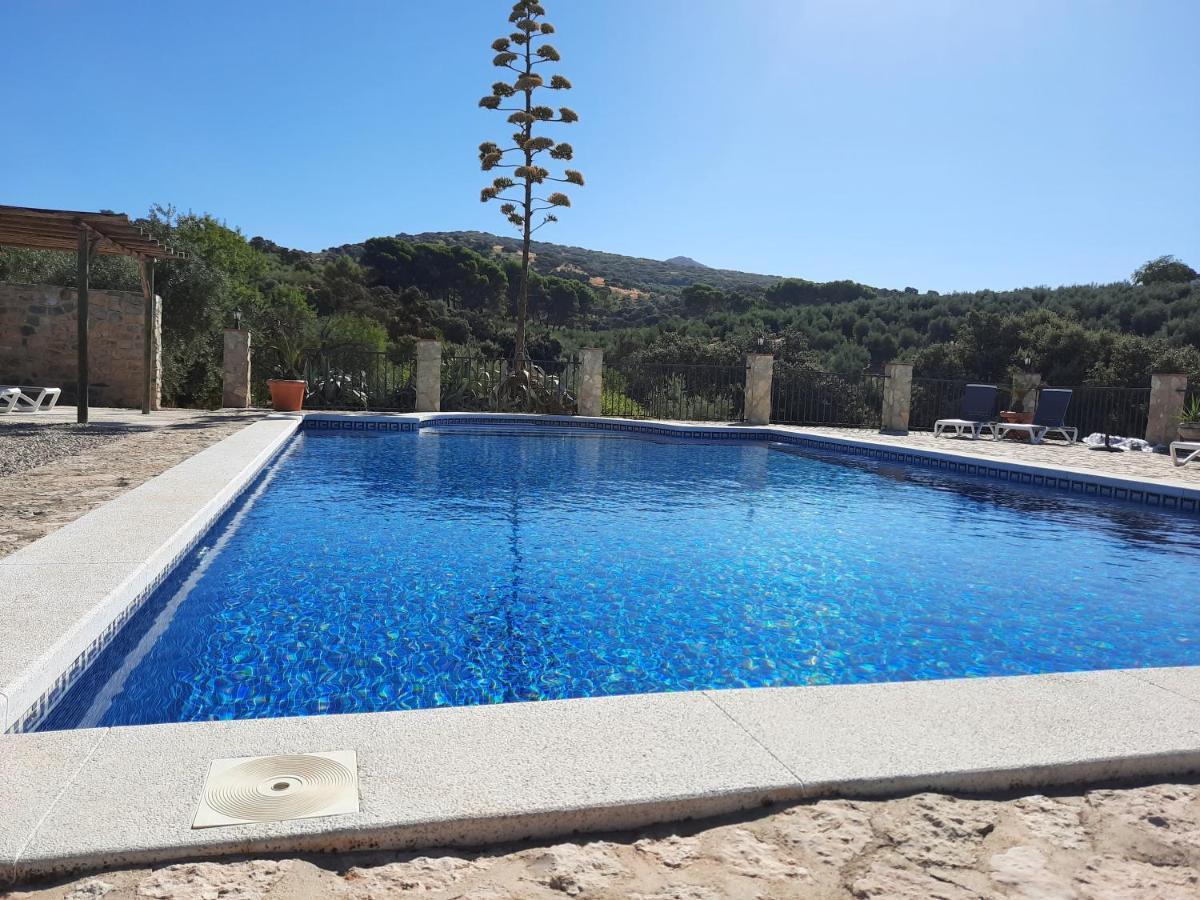 Hacienda La Buena Vida B&B En Appartementen Casita Almendas La Carrera de la Viña Εξωτερικό φωτογραφία