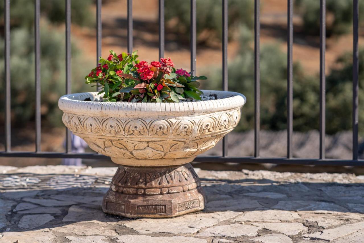 Hacienda La Buena Vida B&B En Appartementen Casita Almendas La Carrera de la Viña Εξωτερικό φωτογραφία