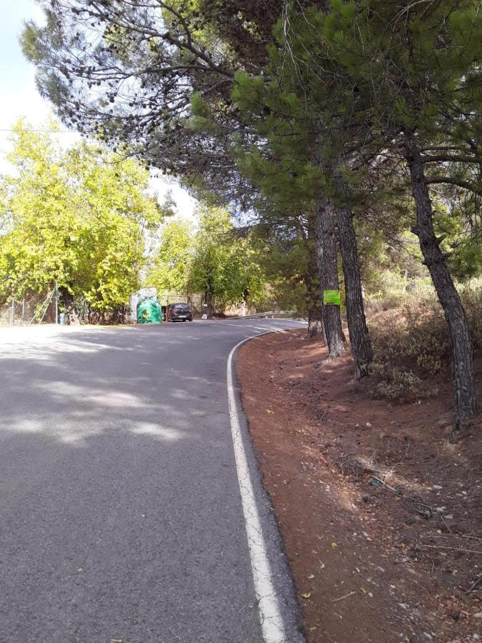 Hacienda La Buena Vida B&B En Appartementen Casita Almendas La Carrera de la Viña Εξωτερικό φωτογραφία