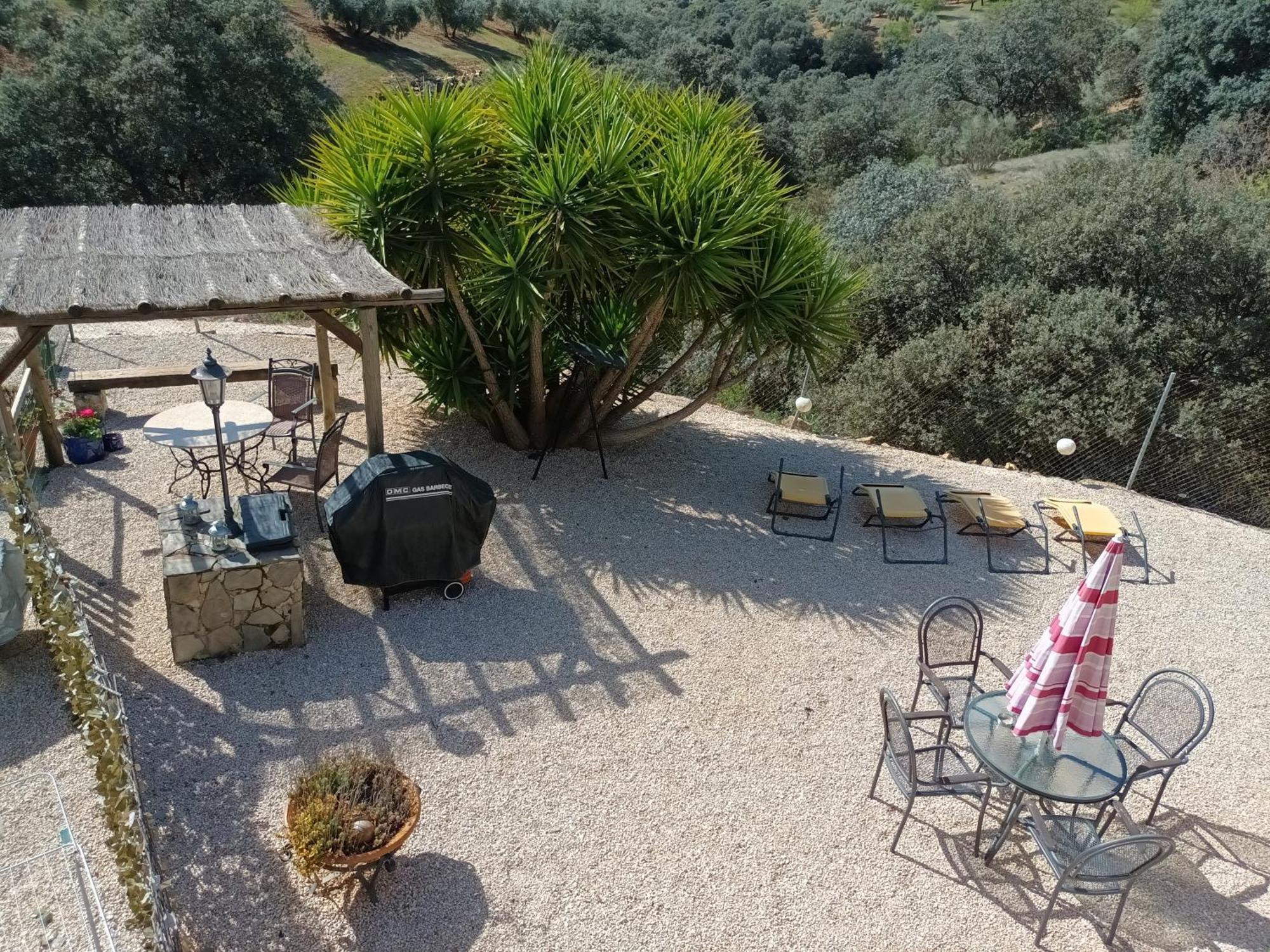 Hacienda La Buena Vida B&B En Appartementen Casita Almendas La Carrera de la Viña Εξωτερικό φωτογραφία
